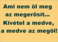 /album/fenykepgaleria/ami-nem-ol-meg-jpg1/
